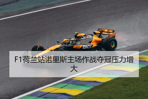 he-lan-zhan-nuo-li-si-zhu-chang-zuo-zhan-duo-guan-ya-li-zeng-da-3-635.jpg
