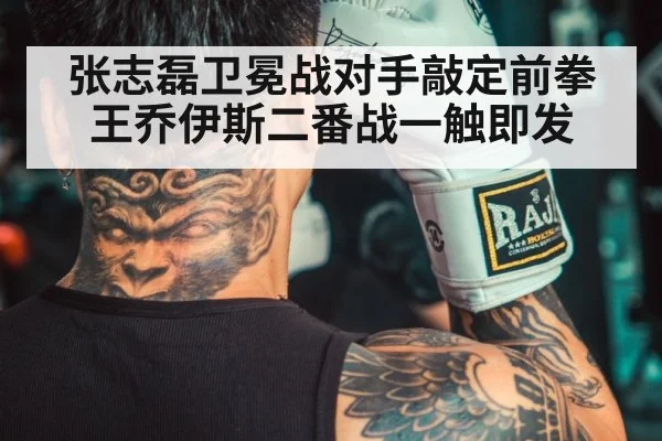 Chinese boxer