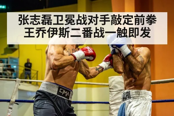 heavyweight boxing