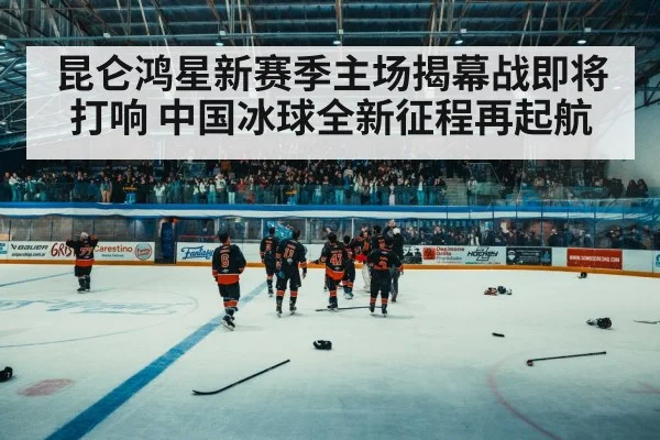 ice hockey arena crowd