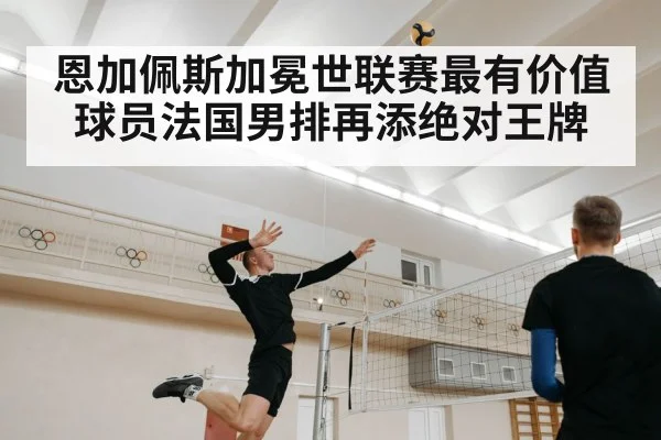 恩加佩斯加冕世联赛最有价值球员法国男排再添绝对王牌